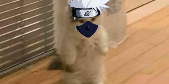 Imagem do grupo de WhatsApp 🇯🇵⛩️ KᗅNᝨᝪ MᗅNIi ⛩️🇯🇵