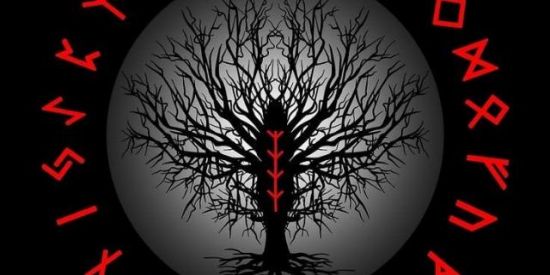 Imagem do grupo de WhatsApp SELETIVA ❤‍🔥