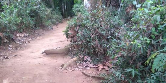 Imagem do grupo de WhatsApp Você vai vencer