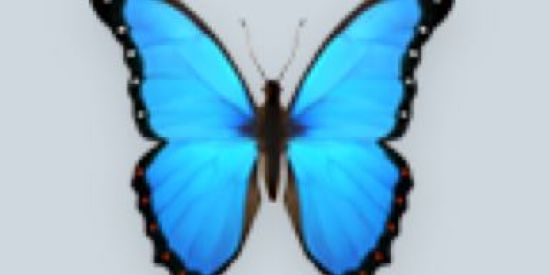 Imagem do grupo de WhatsApp blogueirinhas💰🇧🇷🦋✨