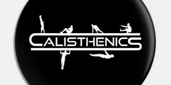 Imagem do grupo de WhatsApp BodyThenics BR