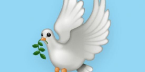 Imagem do grupo de WhatsApp 🕊️-DESEJO A TODOS UM OTIMO RENDIMENTO