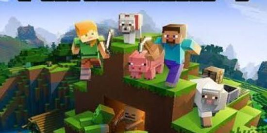 Imagem do grupo de WhatsApp Minecraft 1.16.20