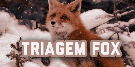 Imagem do grupo de WhatsApp 🧡TRIAGEM FOX🧡