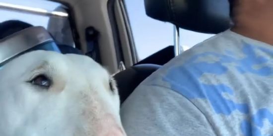 Imagem do grupo de WhatsApp Shits_Fod@