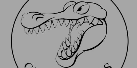 Imagem do grupo de WhatsApp CROCODILES