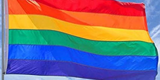 Imagem do grupo de WhatsApp Grupo Lgbt 🏳️‍🌈✊🏼