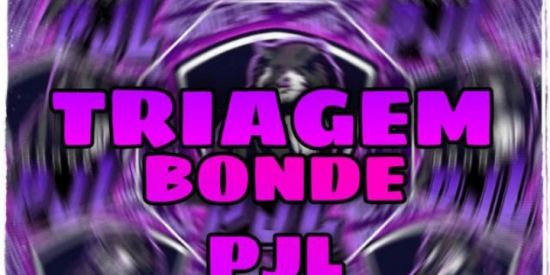 Imagem do grupo de WhatsApp ⚔️TRIAGEM PJL⚔️