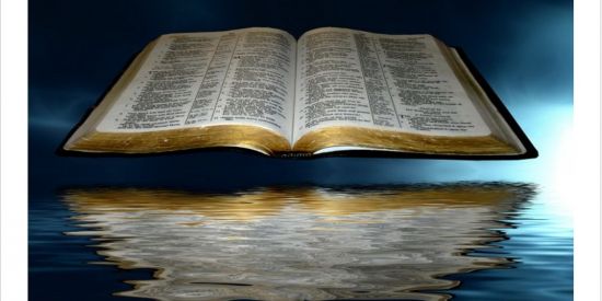 Imagem do grupo de WhatsApp A Palavra