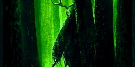 Imagem do grupo de WhatsApp NOVA FUNDAÇÃO