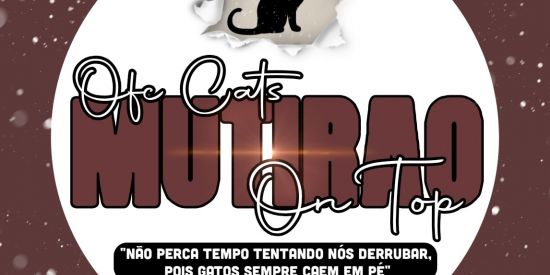 Imagem do grupo de WhatsApp Seguidores no Instagram teias