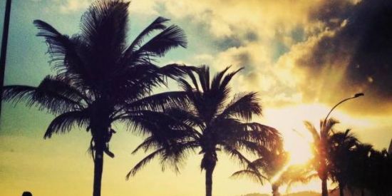 Imagem do grupo de WhatsApp Vida Louca 😎