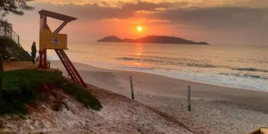 Imagem do grupo de WhatsApp Desapegos ✌️