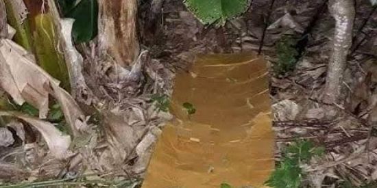 Imagem do grupo de WhatsApp vc moraria agui