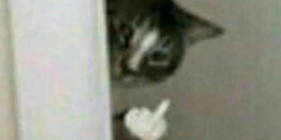 Imagem do grupo de WhatsApp •|∆× ZUEIRA ×∆|•