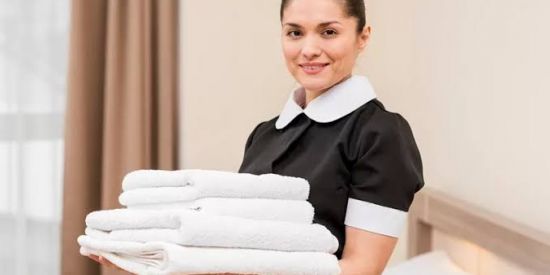 Imagem do grupo de WhatsApp Empregos domesticos zl