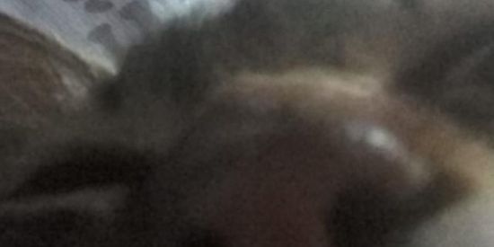 Imagem do grupo de WhatsApp Gruspo