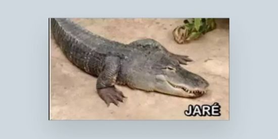 Imagem do grupo de WhatsApp FASAO UM QUE QUISER