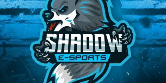 Imagem do grupo de WhatsApp SW-SHADOW