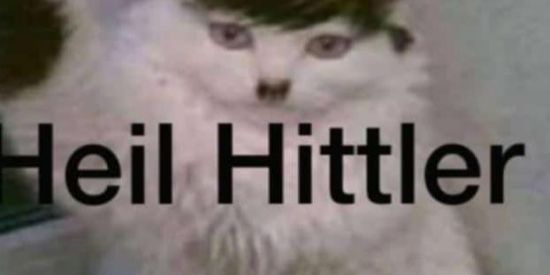 Imagem do grupo de WhatsApp SHIT DO JENSEN