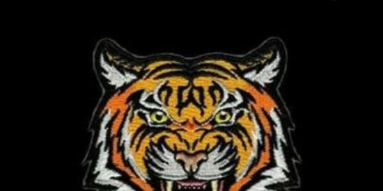 Imagem do grupo de WhatsApp SRF.XIT 🐯, SENCI'S FF ☑️