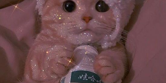 Imagem do grupo de WhatsApp 💥💯☠️ɌɆ$Ɇ₦Ħ₳ ƉØ$ €ɌƗ₳☠️💯💥