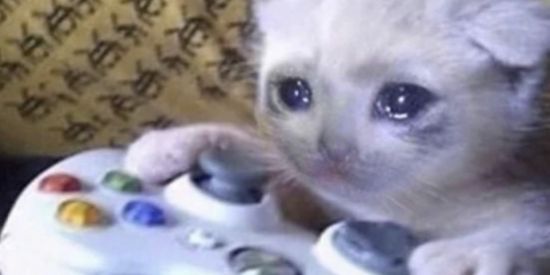 Imagem do grupo de WhatsApp Bom dia natureza tá mec 👍🏻