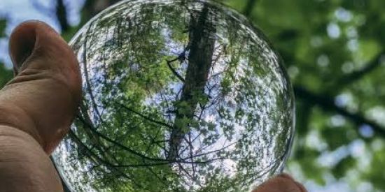 Imagem do grupo de WhatsApp 🍁Um mundo mais verde 🍁