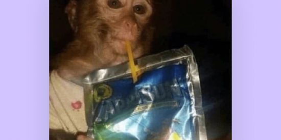 Imagem do grupo de WhatsApp Só comedia🤣