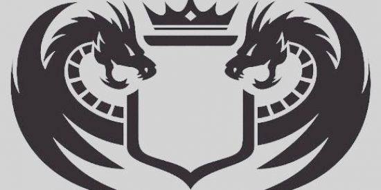 Imagem do grupo de WhatsApp 1°divisão fighting dragon