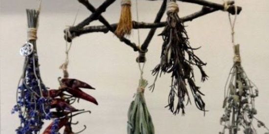 Imagem do grupo de WhatsApp Guia mágico