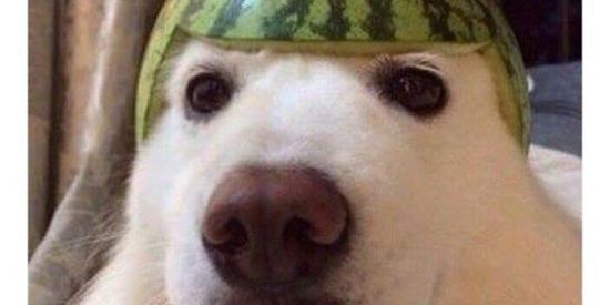 Imagem do grupo de WhatsApp LV...grupo de conversa