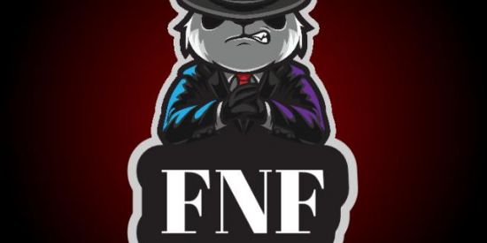 Imagem do grupo de WhatsApp FNF GUILDA DE FF
