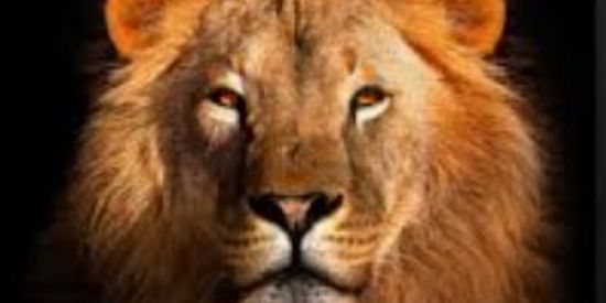 Imagem do grupo de WhatsApp Desbloqueio da fobia