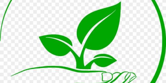 Imagem do grupo de WhatsApp 🌱GASTRITE E REFLUXO 🌱