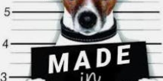 Imagem do grupo de WhatsApp ✓🇿 🇺 🇪 🇮 🇷 🇦✓