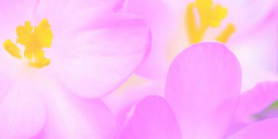 Imagem do grupo de WhatsApp Espiritualidade Verdade☀️🌜