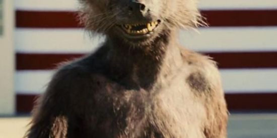 Imagem do grupo de WhatsApp Zueira pra zuar a zueira