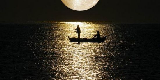 Imagem do grupo de WhatsApp Ganhe seguidores aqui 👀