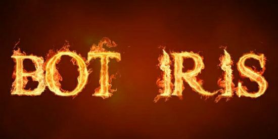 Imagem do grupo de WhatsApp GRUPO OFICIAL DA BOT ÍRIS