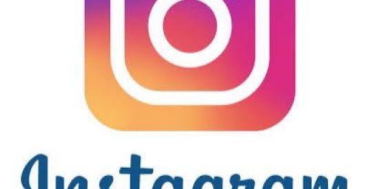 Imagem do grupo de WhatsApp Engajamento Instagram🍃