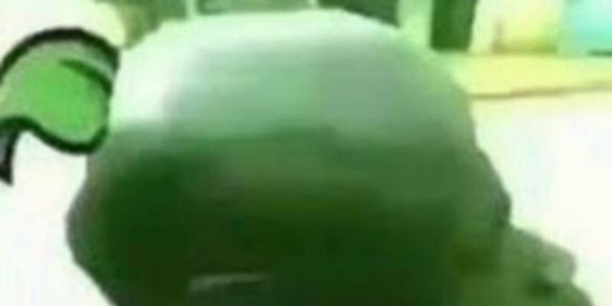 Imagem do grupo de WhatsApp Os angolanos