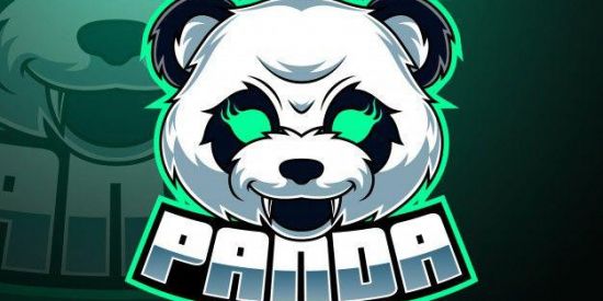 Imagem do grupo de WhatsApp 🐼•|Triagem panda|•🐼
