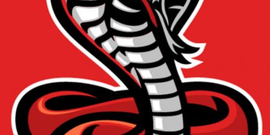 Imagem do grupo de WhatsApp 🐍•|Triagem Serpentes|•🐍