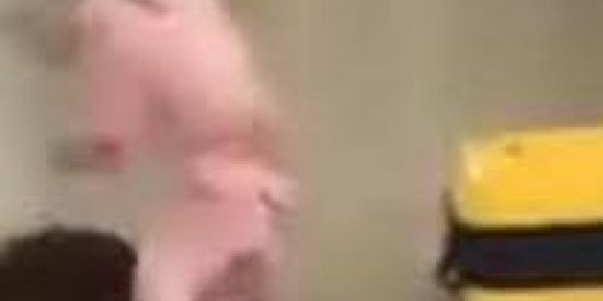 Imagem do grupo de WhatsApp Família Alfredo