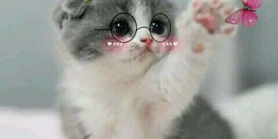 Imagem do grupo de WhatsApp Visualizações nos status