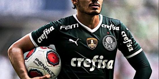 Imagem do grupo de WhatsApp 🤍Fan clube do Palmeiras 💚