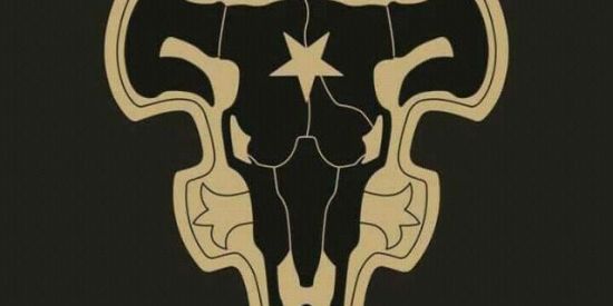 Imagem do grupo de WhatsApp [TOUROS NEGROS BR🇧🇷]