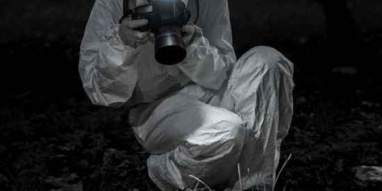 Imagem do grupo de WhatsApp 🚔 Casos Criminais 🚸❗