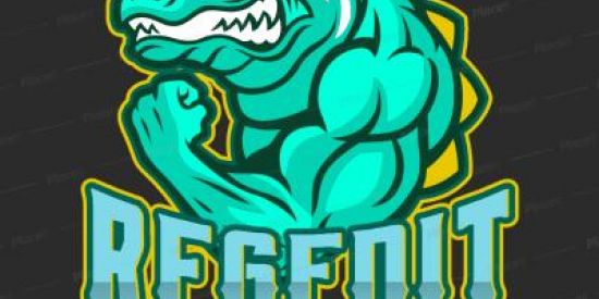 Imagem do grupo de WhatsApp Regedit "PAGA" grátis .